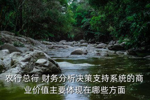 農(nóng)行總行 財務分析決策支持系統(tǒng)的商業(yè)價值主要體現(xiàn)在哪些方面