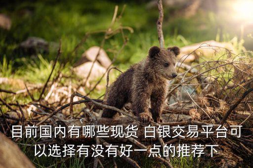 目前國(guó)內(nèi)有哪些現(xiàn)貨 白銀交易平臺(tái)可以選擇有沒(méi)有好一點(diǎn)的推薦下