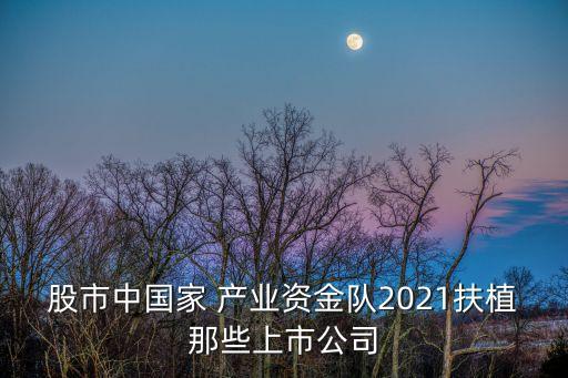 股市中國(guó)家 產(chǎn)業(yè)資金隊(duì)2021扶植那些上市公司