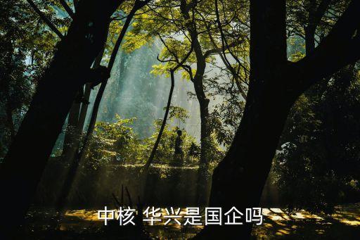 中核 華興是國企嗎