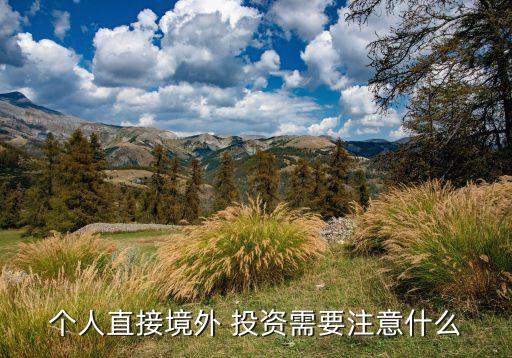 個人直接境外 投資需要注意什么