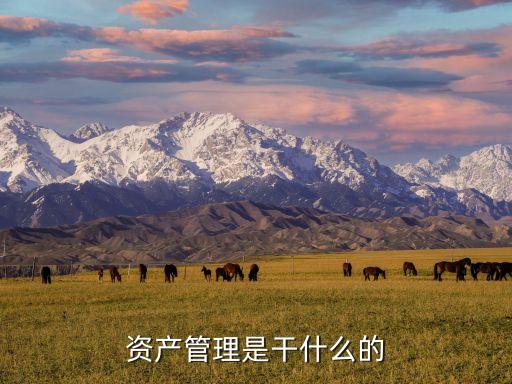 保險公司的資管崗