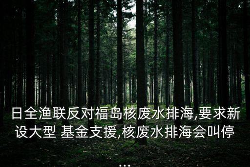 大海洋基金,海洋基金會李艷干什么的