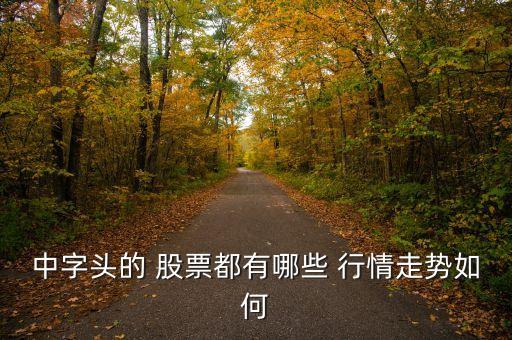 中字頭的 股票都有哪些 行情走勢(shì)如何