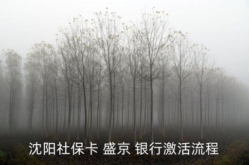 沈陽社?？?盛京 銀行激活流程