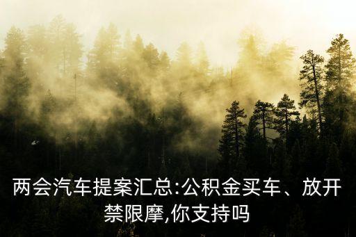 兩會(huì)汽車提案匯總:公積金買車、放開禁限摩,你支持嗎