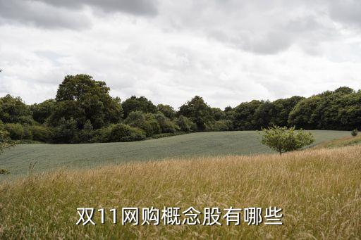 雙11網(wǎng)購(gòu)概念股有哪些