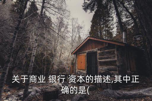關于商業(yè) 銀行 資本的描述,其中正確的是(