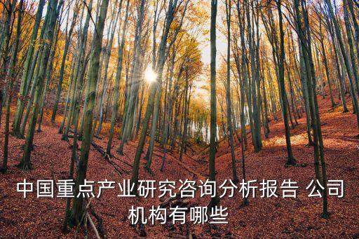 中國(guó)重點(diǎn)產(chǎn)業(yè)研究咨詢分析報(bào)告 公司機(jī)構(gòu)有哪些