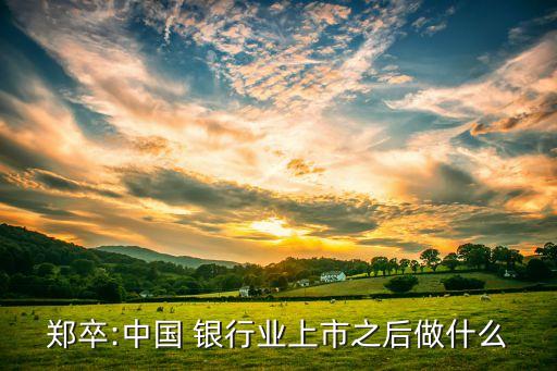 鄭卒:中國 銀行業(yè)上市之后做什么
