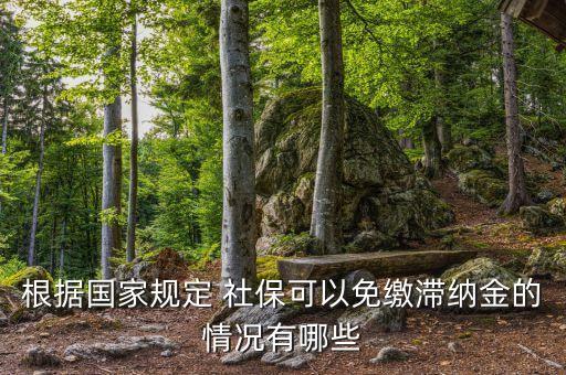 根據(jù)國家規(guī)定 社保可以免繳滯納金的情況有哪些