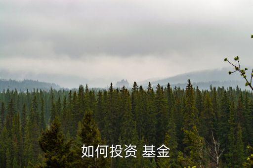 如何投資 基金