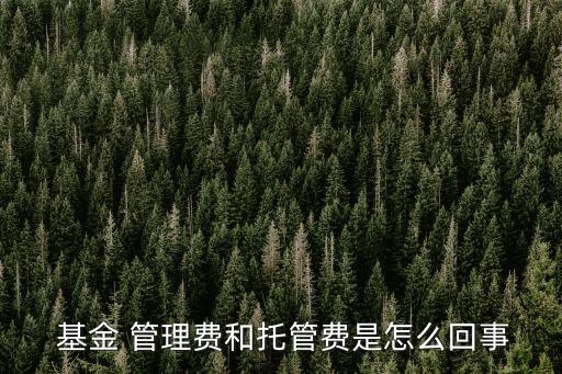  基金 管理費和托管費是怎么回事