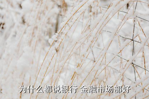 為什么都說銀行 金融市場部好