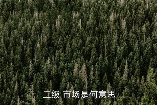 二級市場股票