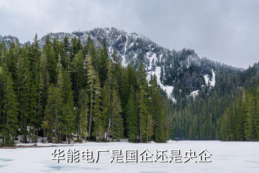  華能電廠是國企還是央企