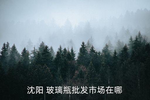 沈陽(yáng) 玻璃瓶批發(fā)市場(chǎng)在哪