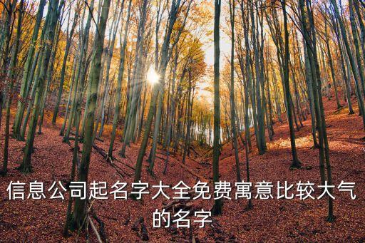 信息公司起名字大全免費寓意比較大氣的名字