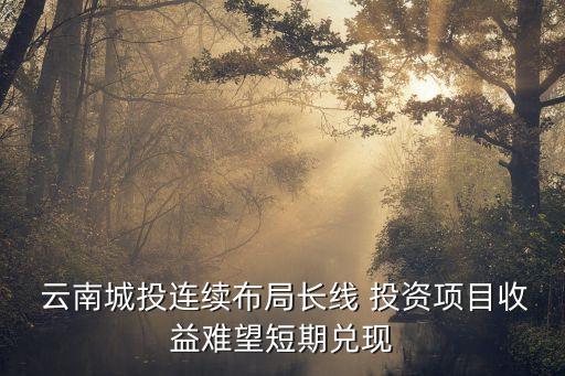 云南子達投資開發(fā)有限公司