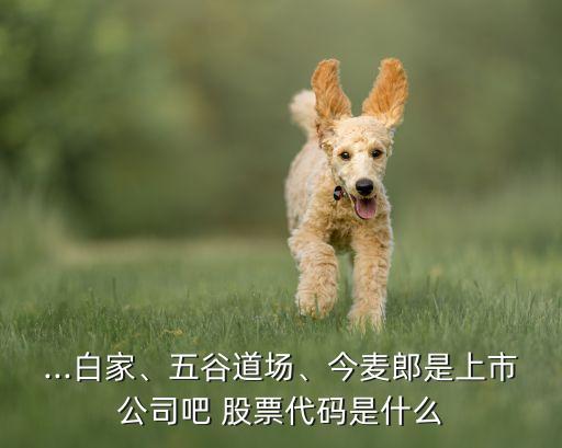 ...白家、五谷道場、今麥郎是上市公司吧 股票代碼是什么