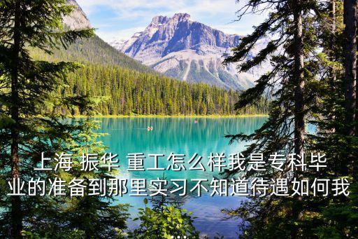  上海 振華 重工怎么樣我是?？飘厴I(yè)的準備到那里實習(xí)不知道待遇如何我...