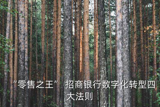 招商銀行vip客戶大數(shù)據(jù)精準(zhǔn)營(yíng)銷,2022年招商銀行年報(bào)客戶數(shù)據(jù)