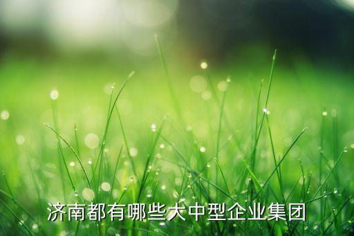 濟(jì)南都有哪些大中型企業(yè)集團(tuán)