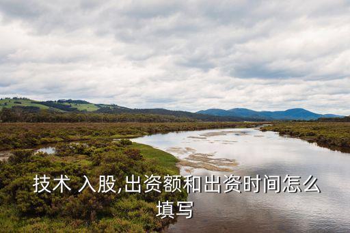 技術(shù)入股怎么寫進公司章程