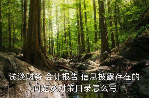 淺談財務 會計報告 信息披露存在的問題及對策目錄怎么寫