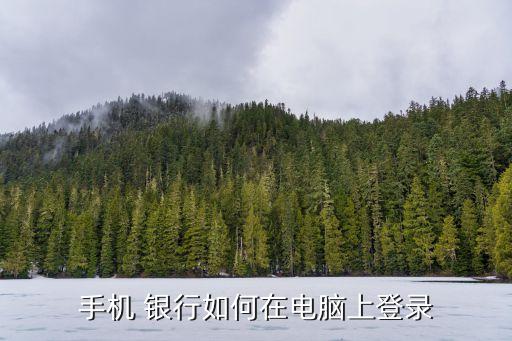 手機(jī) 銀行如何在電腦上登錄