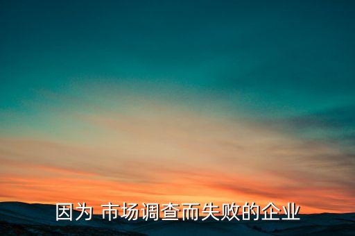 因為 市場調查而失敗的企業(yè)