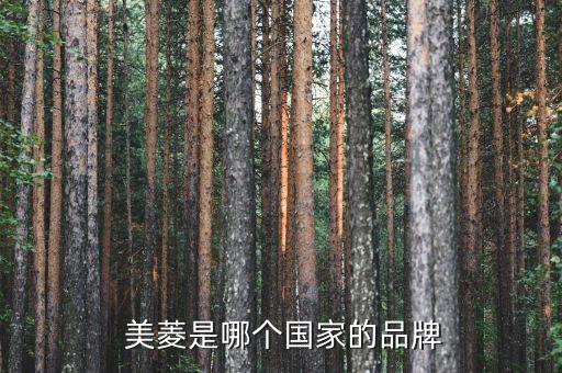 南通美菱電器營(yíng)銷有限公司,長(zhǎng)虹美菱生活電器有限公司