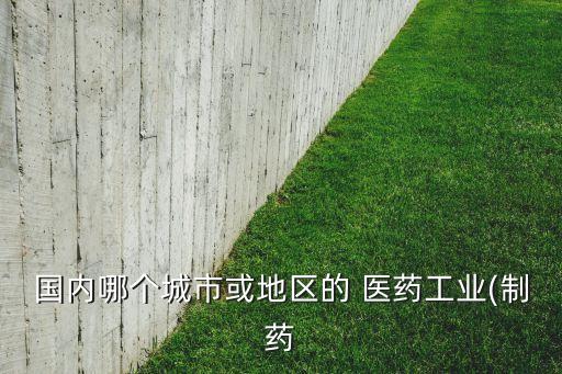 國內(nèi)哪個(gè)城市或地區(qū)的 醫(yī)藥工業(yè)(制藥