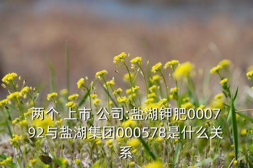 兩個 上市 公司:鹽湖鉀肥000792與鹽湖集團000578是什么關(guān)系