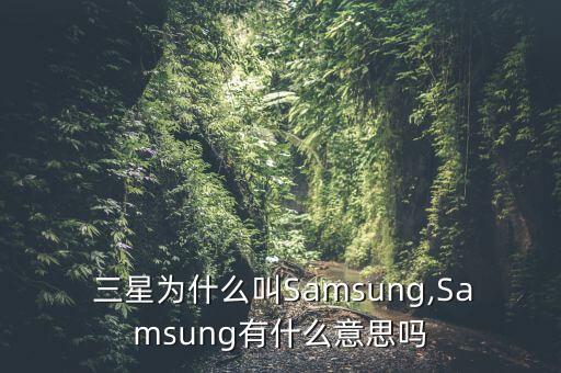三星中國更名