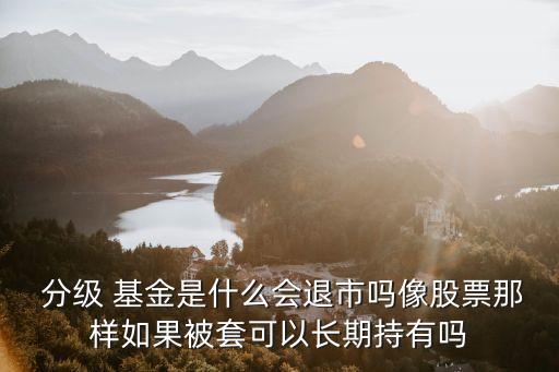 分級(jí)基金算市值嗎,基金市值怎么算出來(lái)的