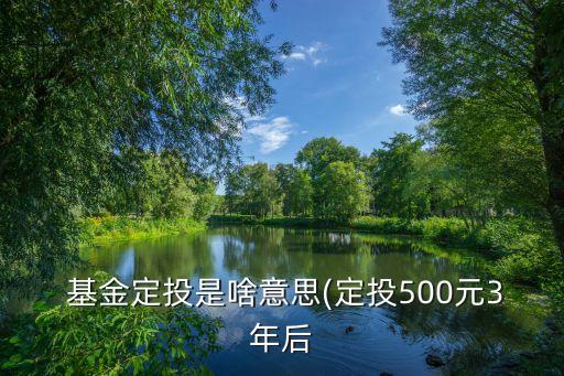 開放式引導基金,怎么看基金是不是開放式