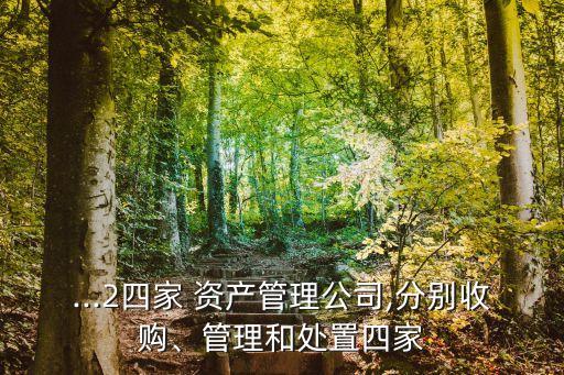 ...2四家 資產(chǎn)管理公司,分別收購、管理和處置四家