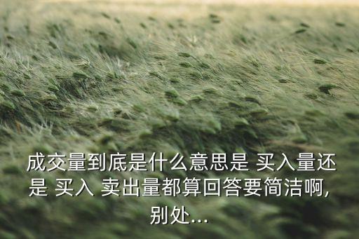  成交量到底是什么意思是 買入量還是 買入 賣出量都算回答要簡潔啊,別處...