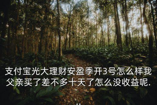 支付寶光大理財(cái)安盈季開3號(hào)怎么樣我父親買了差不多十天了怎么沒(méi)收益呢...