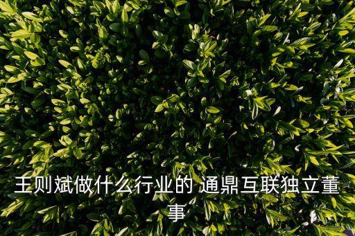 王則斌做什么行業(yè)的 通鼎互聯(lián)獨立董事