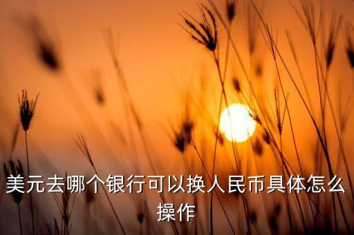 美元去哪個銀行可以換人民幣具體怎么操作