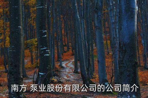  南方 泵業(yè)股份有限公司的公司簡(jiǎn)介