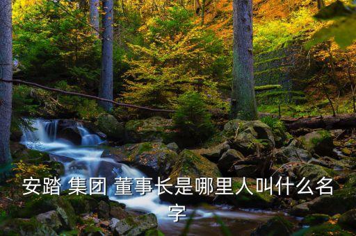 安踏 集團(tuán) 董事長(zhǎng)是哪里人叫什么名字