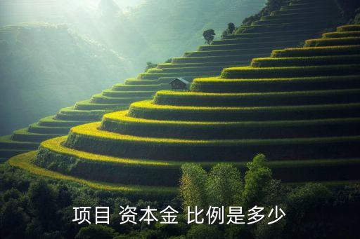 資本金占總投資的比例,項目資本金占總投資比例最大的是