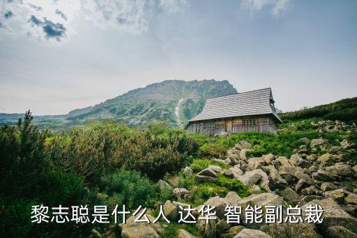 黎志聰是什么人 達華 智能副總裁