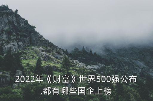 2022年《財(cái)富》世界500強(qiáng)公布,都有哪些國(guó)企上榜