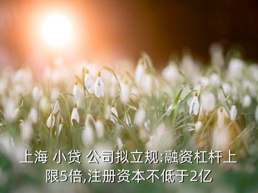 上海 小貸 公司擬立規(guī):融資杠桿上限5倍,注冊資本不低于2億
