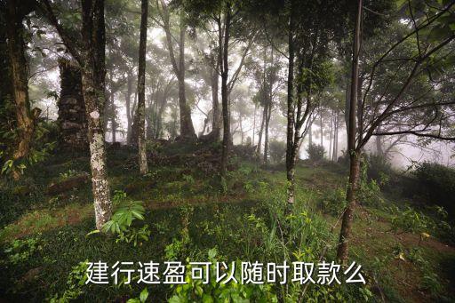 建行速盈可以隨時取款么