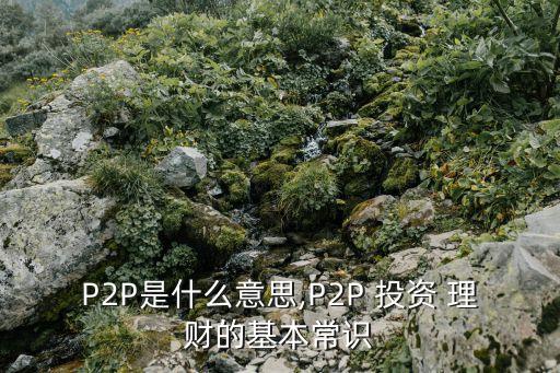 p2p投資基金理財(cái)平臺(tái),類(lèi)似于3M,P2P的理財(cái)平臺(tái)